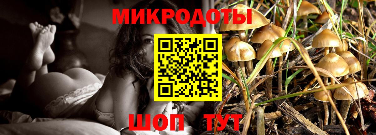 наркошоп  Вход с VPN  Озёры  Псилоцибиновые грибы прущие грибы 
